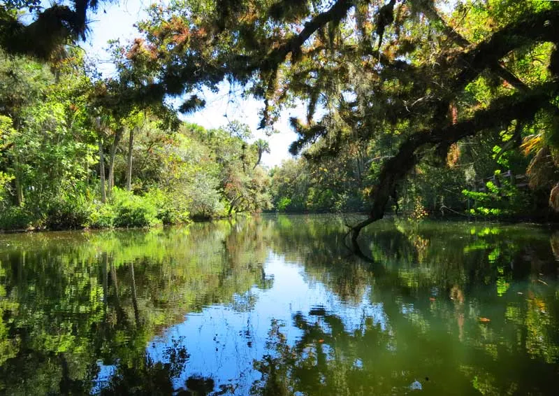 A scene along the Orange River, accessible from Fort Myers Manatee Park.(Photo:Bonnie Gross)