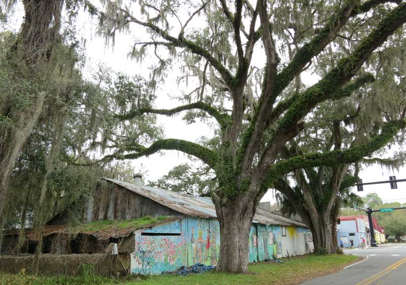 Little Floral City oozes Old Florida ambiance. It's midway on the Withlacoochee State Trail.