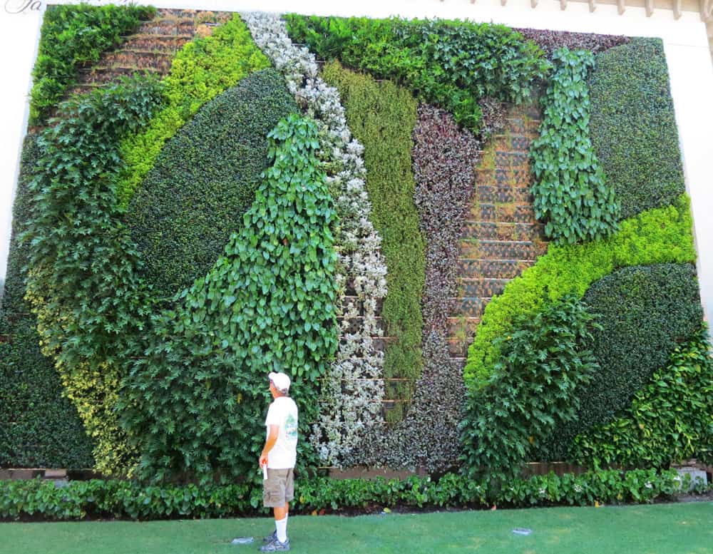 The Living Wall, a vertical garden on Worth Avenue in Palm Beach island.