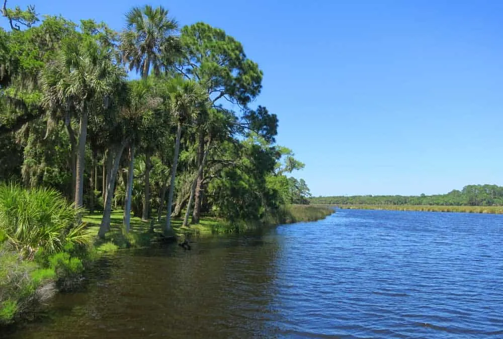 Bulow Creek is a good paddling spot. There's a boat ramp at Bulow Plantation Ruins Historic State Park in Flagler County.