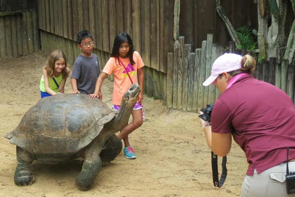 The Tortoise experience at the St. Augustine Alligator Farm is an extra $35.99 for up to five people.