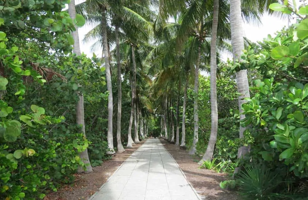 Bill Baggs Cape Florida State Park on Key Biscayne