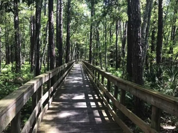 This long boardwalk gets you from the washroom/rest stop to Camp Milton along the Jacksonville-Baldwin Bike Trail. On this side tour, you can learn about Florida's role in the Civil War .(Photo: Bonnie Gross)