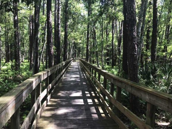 This long boardwalk gets you from the washroom/rest stop to Camp Milton along the Jacksonville-Baldwin Bike Trail. On this side tour, you can learn about Florida's role in the Civil War.(Photo: Bonnie Gross)