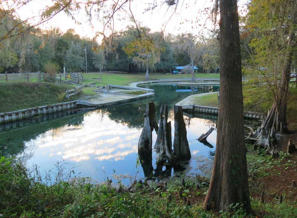 The main spring and swimming area at Hart Springs County Park.