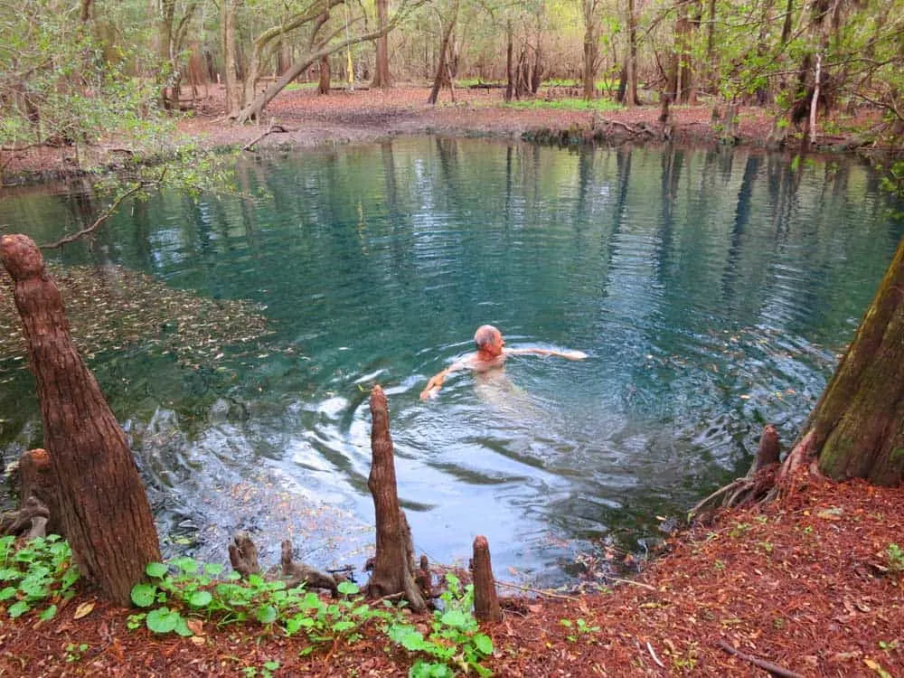 Little Otter Springs is a mile's walk back into the woods, and you are rewarded with a pristine pool of turquoise.