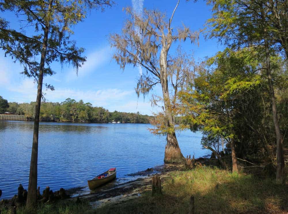 Along Suwanee River between Fanning and Manatee Springs. (Photo: Bonnie Gross)