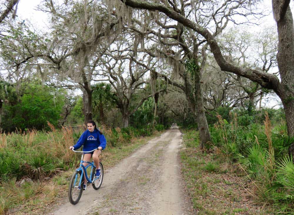 Ranch House Road travels through a beautiful canopy of live oaks and can be ridden on skinny-tire bikes.