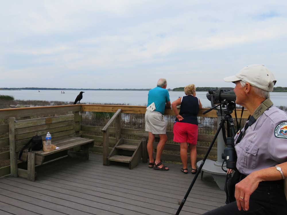 Birding experts help visitors see and identify birds at a platform on Upper Myakka Lake.