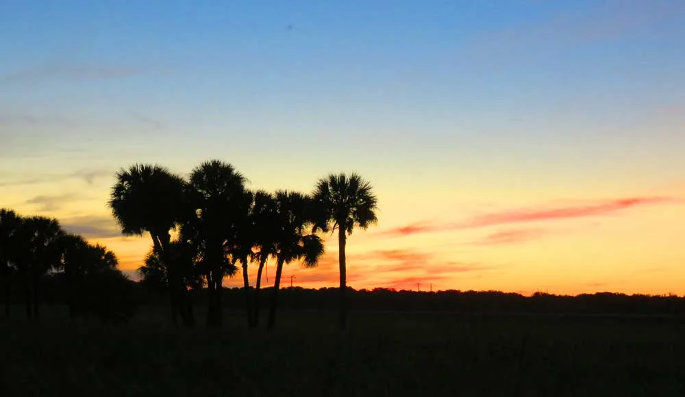 The sun sets over the prairie at Myakka River State Park.