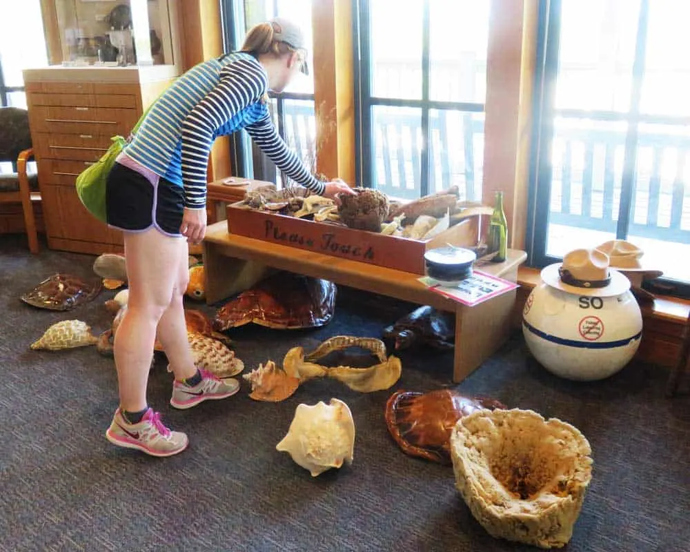 There are plenty of objects to touch in the visitor center at Biscayne National Park in Homestead. (Photo: Bonnie Gross)