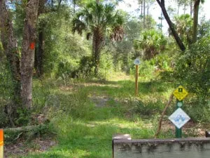 Florida Trail in Seminole State Forest