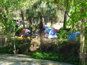 tent sites on the spring run at Wekiva Falls