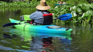 Paddlers on the Wekiva River