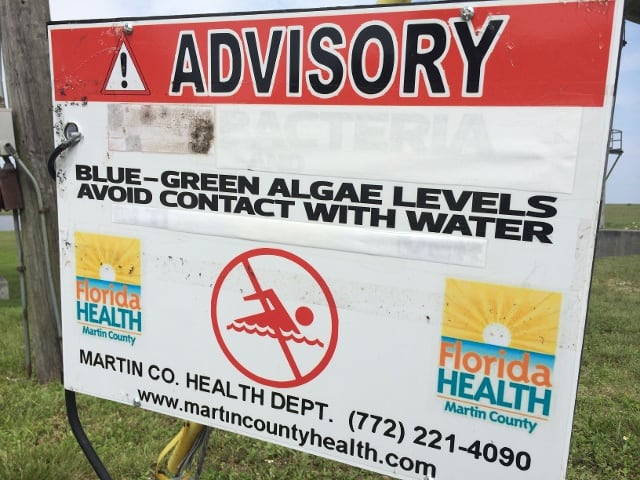 warning sign blue-green algae