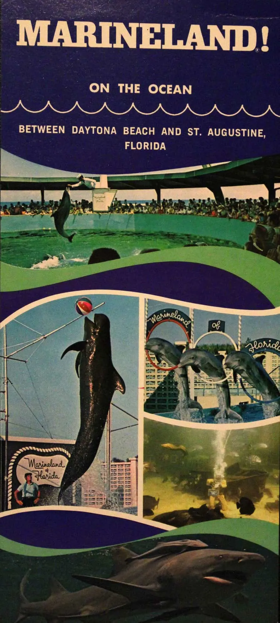 An old brochure from the Marineland Florida attraction during its heyday.
