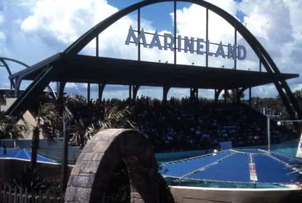 View of the spectator stands at the Marineland attraction. State Archives of Florida, Florida Memory.