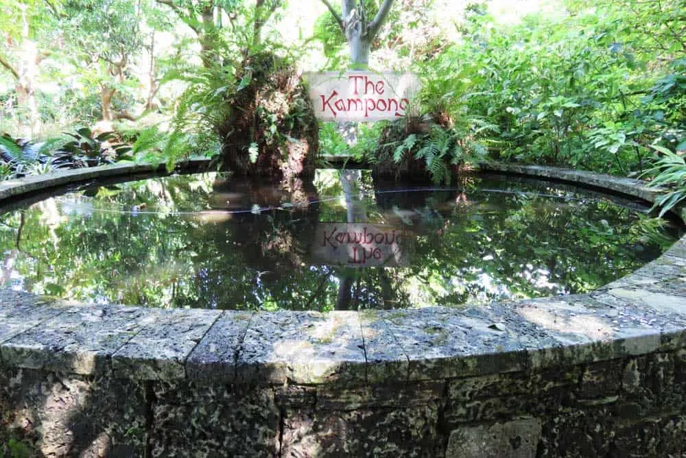 Pond at the Kampong Coconut Grove. (Photo: Bonnie Gross)