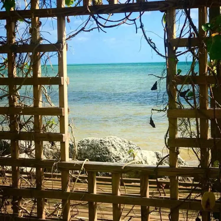 One of the new structures at Long Key State Park is a seaside platform that would make a perfect place for a small, impromptu wedding. This is a window in the platform's lattice-work frame. (Photo: Bonnie Gross)