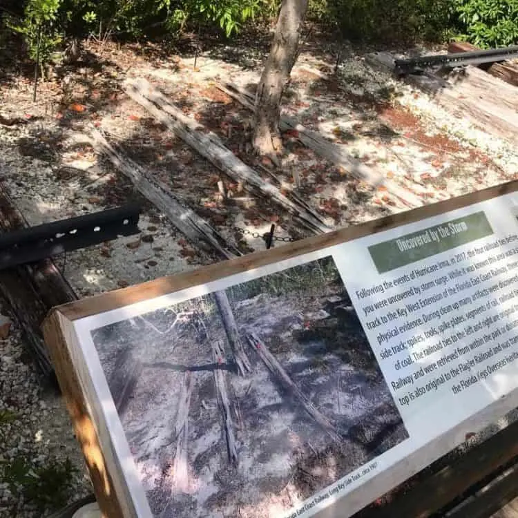 The storm surge from Hurricane Irma exposed these railroad ties from Henry Flagler's railroad, which opened in 1912. The tracks had been buried in soil and sand. A small trail leads to this exhibit. (Photo: Bonnie Gross)
