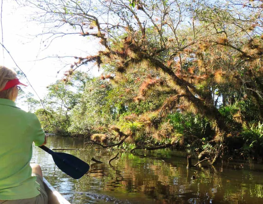 Fort Pierce is one of the best towns to base a kayaking getaway because of the St. Lucie River South Fork, which is scenic and filled with wildlife. (Photo: Erin Blasco)