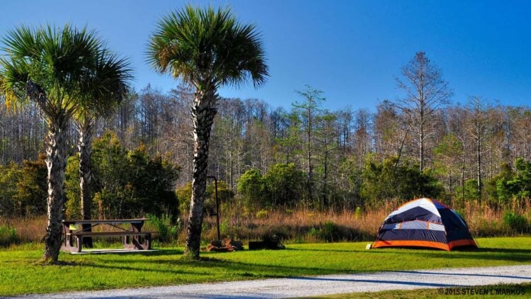 Camping in the Everglades, an experience like no other 14 Bear Island Camp