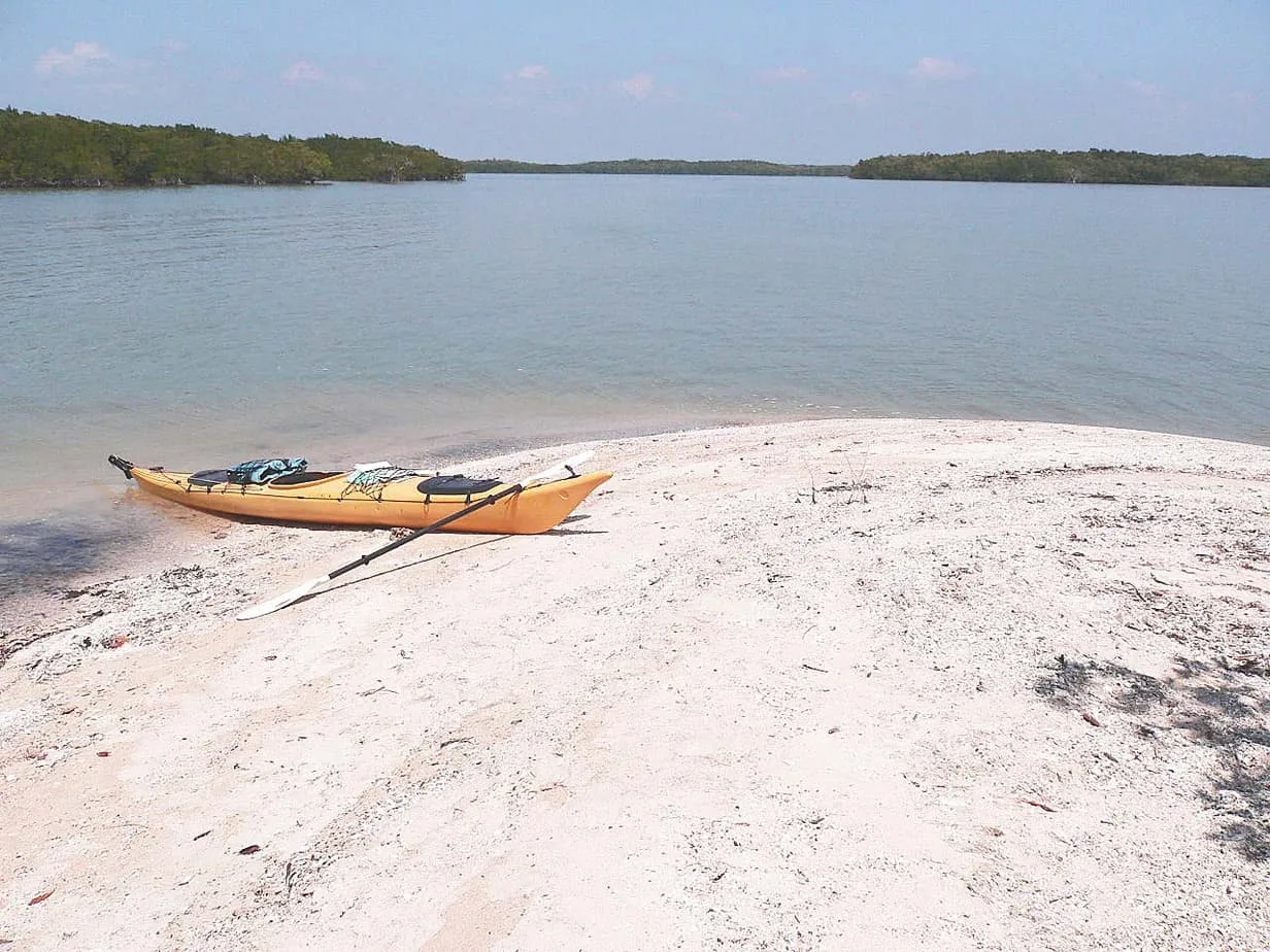 things to do in florida kayaking in the ten thousand islands