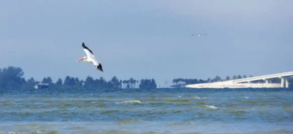 San Carlos Bay - Bunche Beach Preserve in Fort Myers