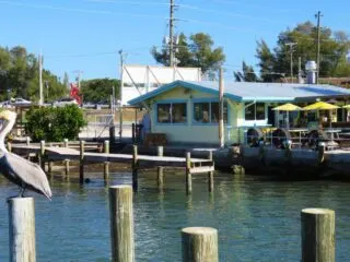 Right at the causeway that takes you from Cortez to Anna Maria Island, you’ll find Tide Tables restaurant, a seafood restaurant with a mighty reputation for super-fresh fish and great views. (Photo: Bonnie Gross)