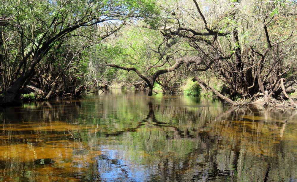 The Little Manatee has been designated an Outstanding Florida Waterway by the Florida Department of Environmental Protection. It runs through Little Manatee River State Park. 