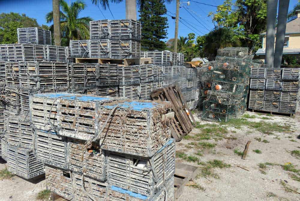 Crab traps piled nearing the working waterfront in Cortez. (Photo Bonnie Gross)