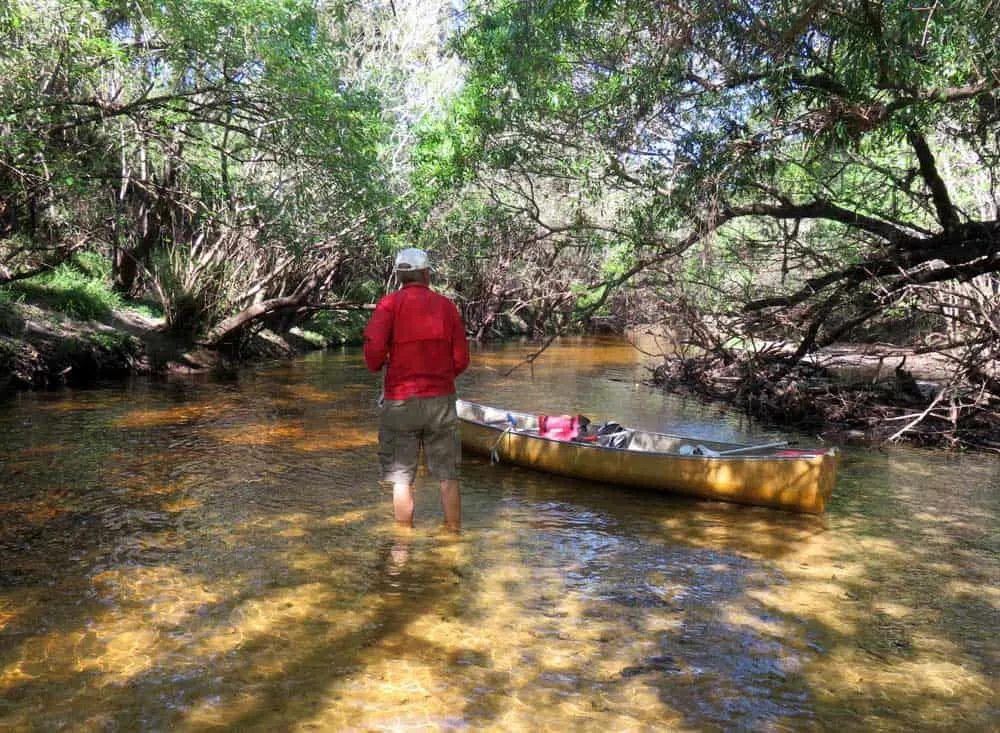 A sandbar along the river through Little Manatee River State Park required pulling our canoe for a brief walk in ankle keep water.
