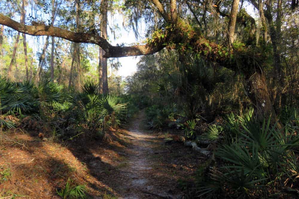 A trail at Little Manatee River State Park.. (Photo: Bonnie Gross)