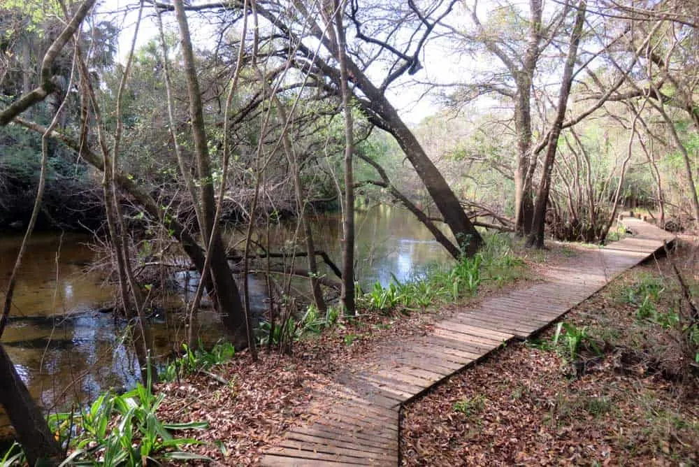 Little Manatee River State Park has a beautiful trail that gives you views of the river on either a 3-mile loop, or a 6.5 mile hike if you add another loop. (Photo: Bonnie Gross)