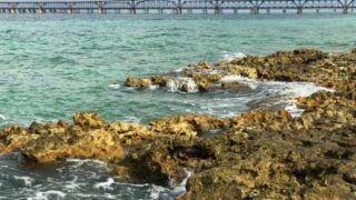 Little Bahia Honda Island, two-thirds of a mile out in the Atlantic, has a view of the historic saddleback bridge at Bahia Honda State Park. (Photo: Bonnie Gross)
