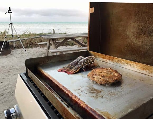 Florida lobster: Catch, cook and eat | floridarambler.com