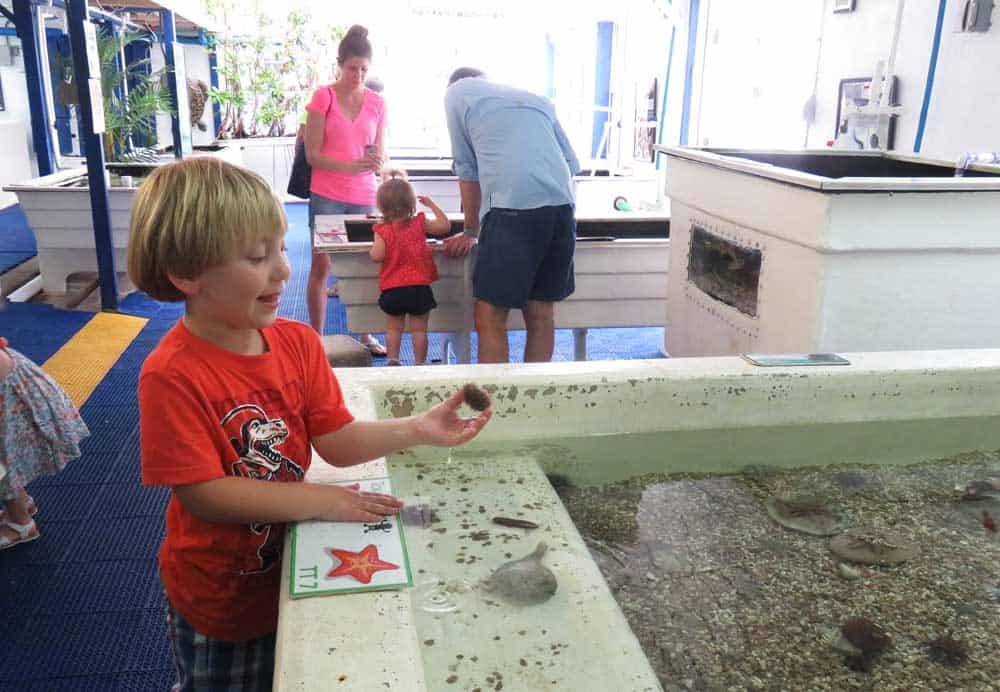 Animal lovers and families might want to stop in the little Gulf Specimen Marine Laboratory in Panacea. It’s a non-profit aquarium with lots of touch tanks. (Photo: Bonnie Gross)