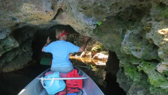 The Suwannee Rive has limestone rock banks that form interesting caves and crevices. (Photo: David Blasco)