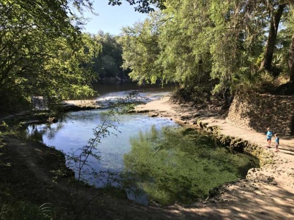 Lafayette Blue Springs State Park forms two beautiful pools of water, each lined with limestone rocks. this is the lower pool, which spills into the Suwannee River. (Photo: Bonnie Gross)