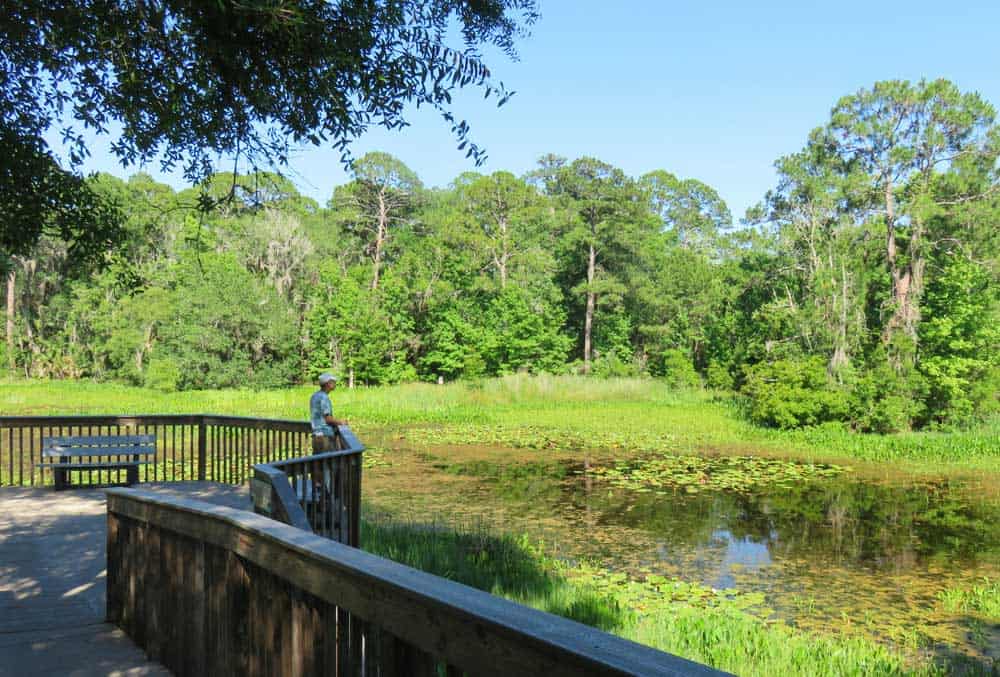 St. Marks National Wildlife Refuge: Your first stop should be the wildlife refuge headquarters, whose deck overlooks a pretty lily-pad-filled pond. (Photo: Bonnie Gross)