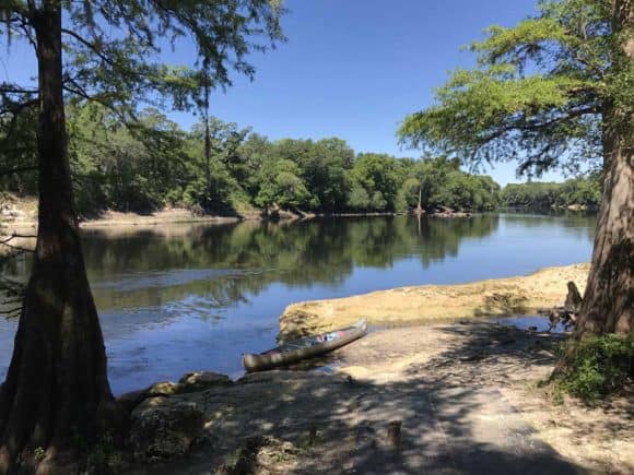 This section of the Suwannee near Lafayette Blue Springs State Park was especially quiet and picturesque. Even on the Friday before Memorial Day weekend, we had the river to ourselves.