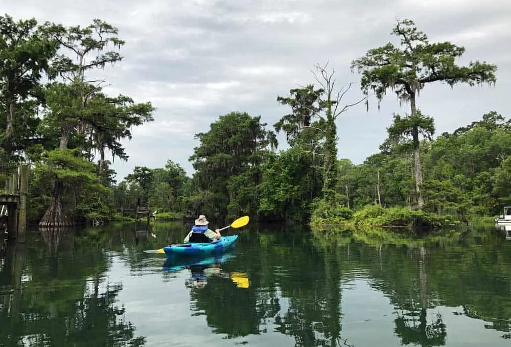 The Wakulla River offers gorgeous scenery, with ancient cypress trees lining the banks. (Photo: Bonnie Gross)