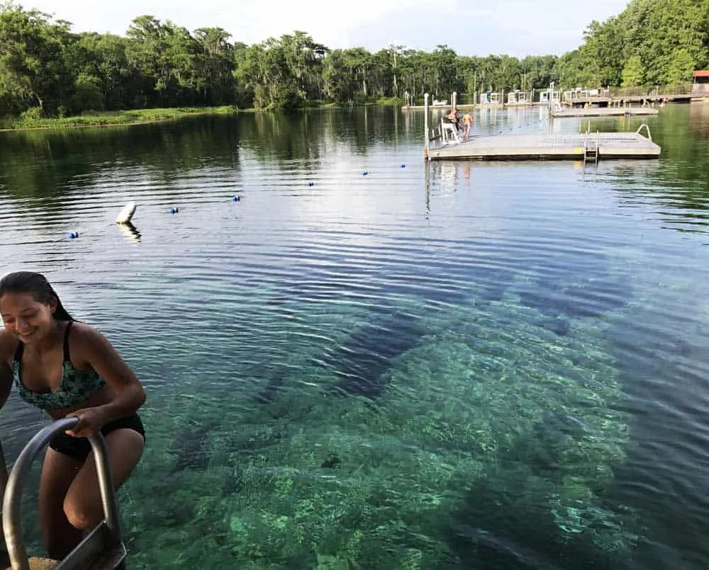 The view from the diving platform at Wakulla Springs State Park, near St. Marks Florida..