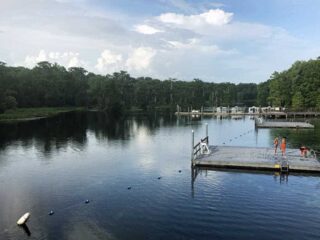 The view from the diving platform at Wakulla Springs. (Photo: Bonnie Gross)