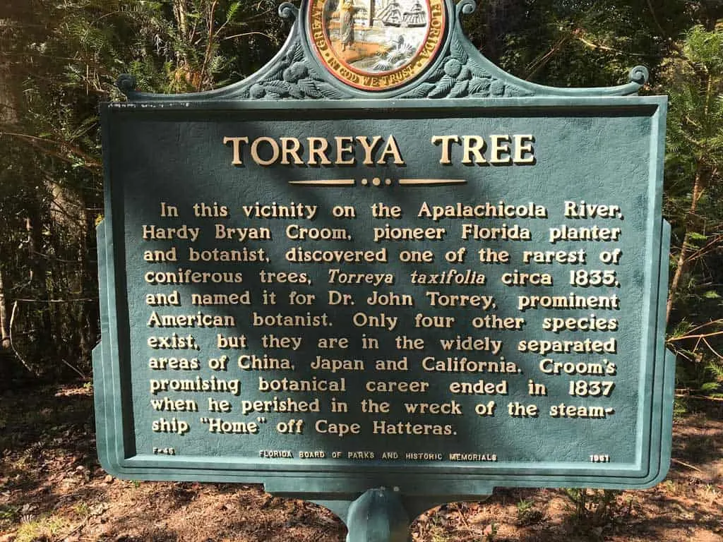 Torreya Tree Marker at Torreya State Park