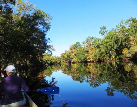 The Withlacoochee River plays second fiddle to the Rainbow River, but it is exquisite. (Photo: Bonnie Gross)