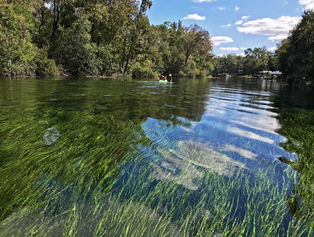 Rainbow River So Clear It s Like Tubing In An Aquarium