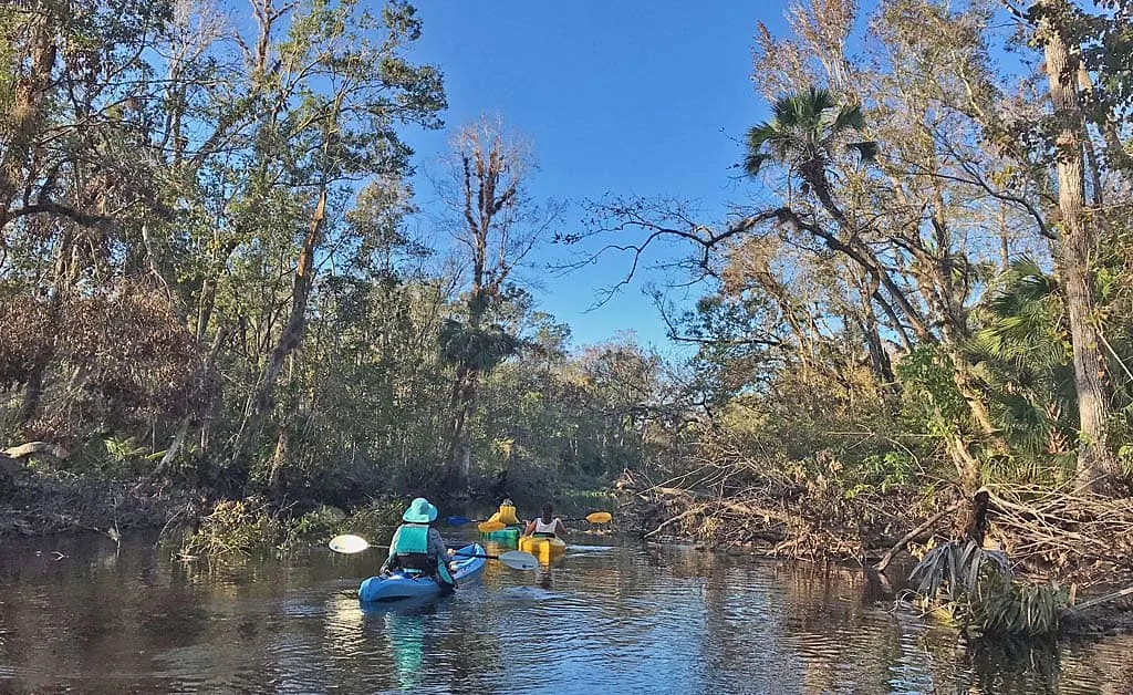 Nature parks in Orlando: Wekiva River near Katie's Landing.