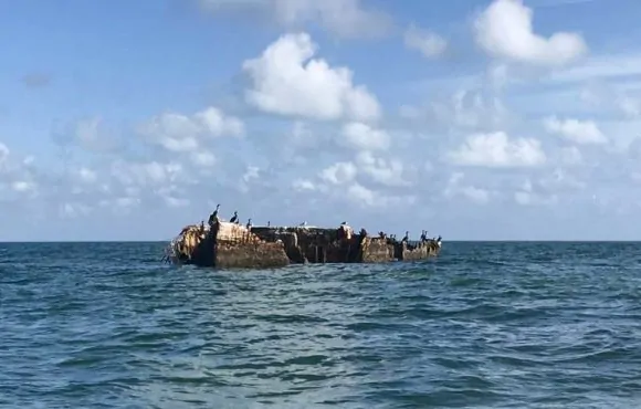 The sunken concrete barge at Garden Cove in Key Largo. (Photo: Bonnie Gross)