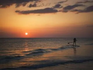 paddleboarding Tampa area beach